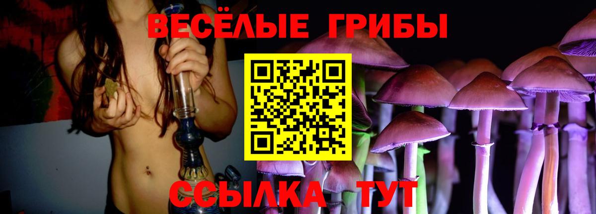 Галлюциногенные грибы Cubensis Ярцево